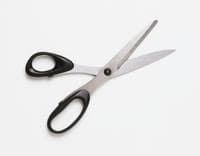 SCISSORS | meaning in the Cambridge English Dictionary