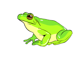 Artwork | fadingfrogs