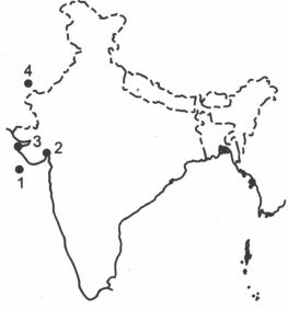 Question Image