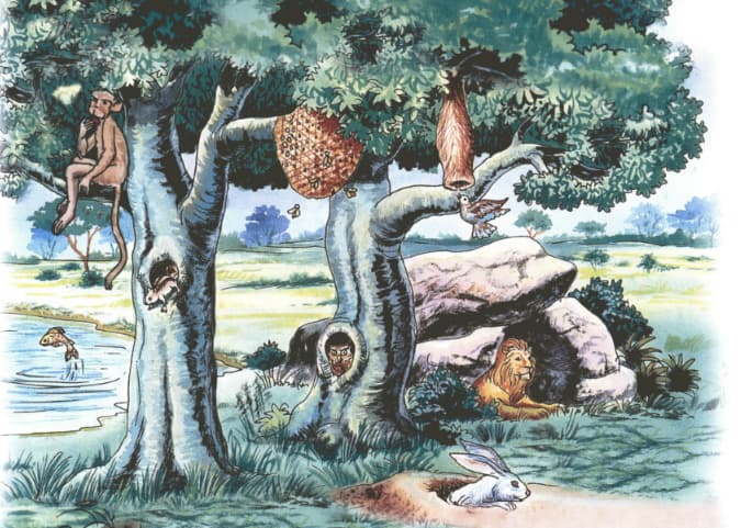 Question Image