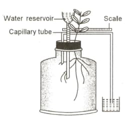 Question Image