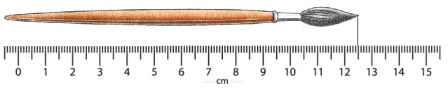 Question Image