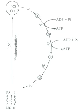 Question Image