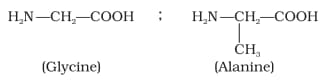 Amino acids behave like salts rather than simple amines or carboxylic ...