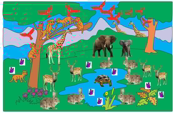 Question Image