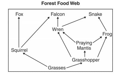 Ecosystem And Its Components Contains Questions With Solutions & Points 