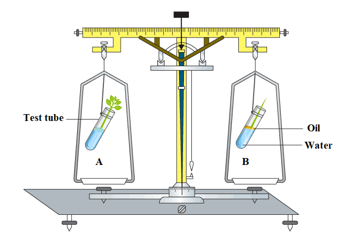 Question Image