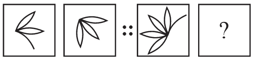 Question Image