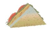 C:\Users\mohan\Desktop\pics\43shapes\7.jpg