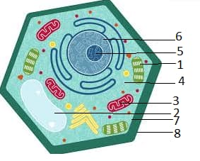 Question Image