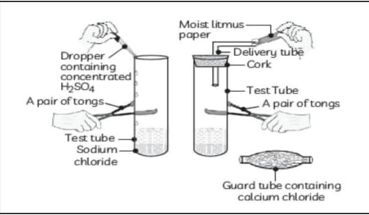 Question Image