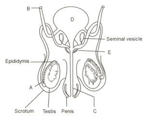 Question Image