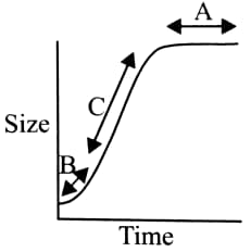 Given graph is drawn on the parameters of growth versus time Here A B and C  respectively represent
