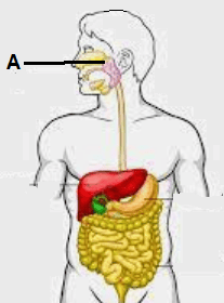 Question Image