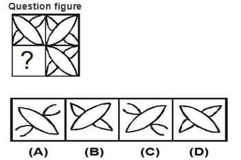 Question Image