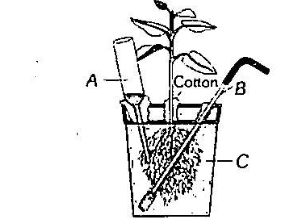 Question Image