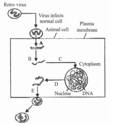 Question Image