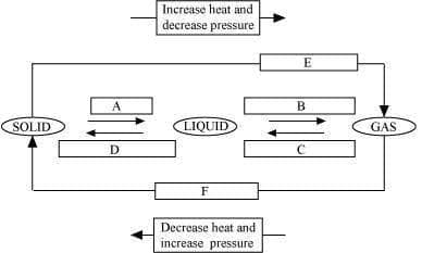 http://cdn.topperlearning.com/topper/bookquestions/589_m1.JPG
