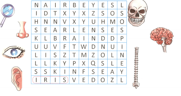 Question Image