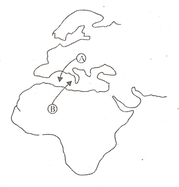 Question Image