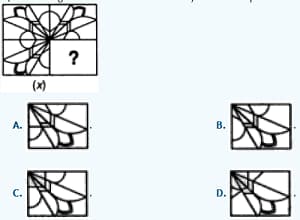 Question Image