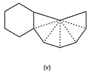 image8.png