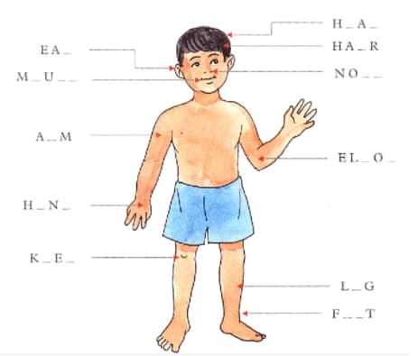 Question Image