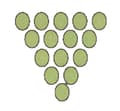 C:\Users\mohan\Desktop\pics\41fra\4.jpg.png
