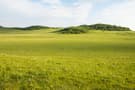 China Inner Mongolia natural grassland