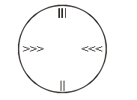 The diagram respresents the karyotype of a Drosophila What would be the ...