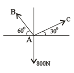 Newton's Third Law Of Motion Contains Questions With Solutions & Points 