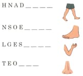 Question Image