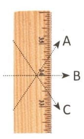 A picture containing object, measuring stick Description automatically generated