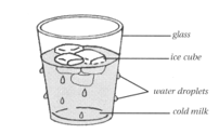 Question Image