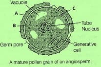 Question Image