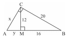 Question Image