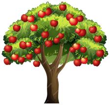 Apple Tree Images | Free Vectors, Stock Photos & PSD