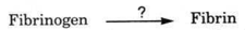 ap board class 10 science part 2 section b section 4 question 24 