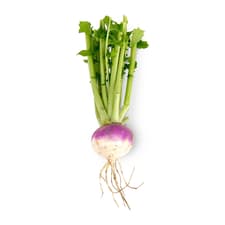 Turnip | Veggycation