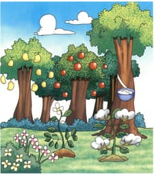Question Image