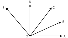 Selina Solutions Concise Mathematics Class 6 Chapter 24 - 6