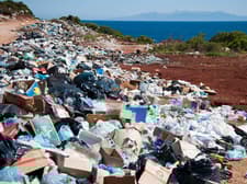 Soil contaminants | Soil Science Society of America