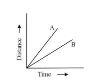 What type of graph shows relationship between two variables