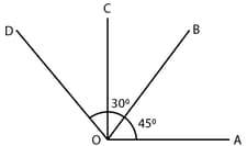 Selina Solutions Concise Mathematics Class 6 Chapter 24 - 17