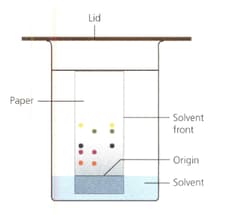 Question Image