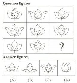 Question Image