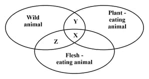 Why do animals have different types of teeth and mouthparts