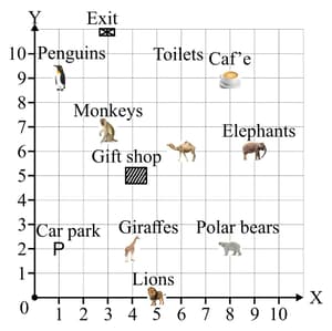Question Image