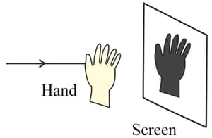 Question Image