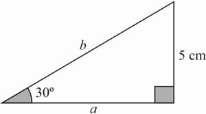 Question Image